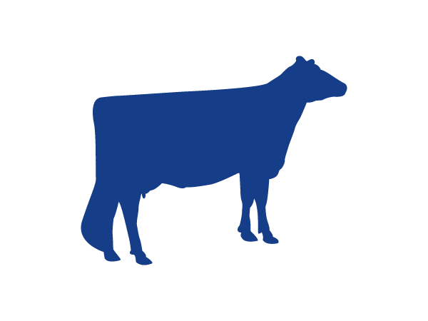1975-2