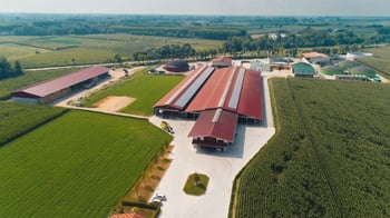 Nell’Azienda BERNARDIS il 2° Alta Italia Showcase - Alta Genetics