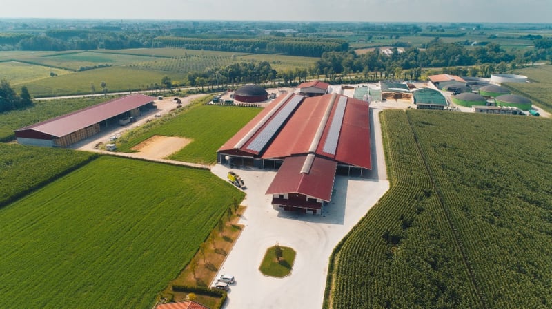 Nell’Azienda BERNARDIS il 2° Alta Italia Showcase - Alta Genetics