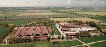 Alta Showcase all’azienda Maccarese SPA - Alta Genetics