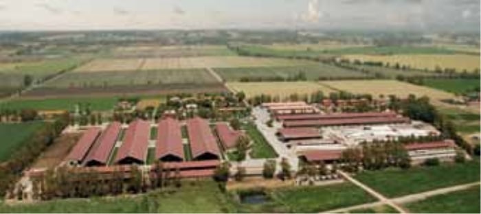 Alta Showcase all’azienda Maccarese SPA - Alta Genetics