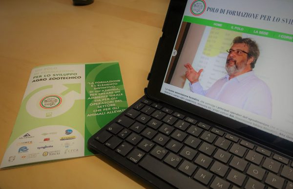 Ecco il programma del 