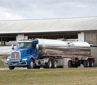 camion latte
